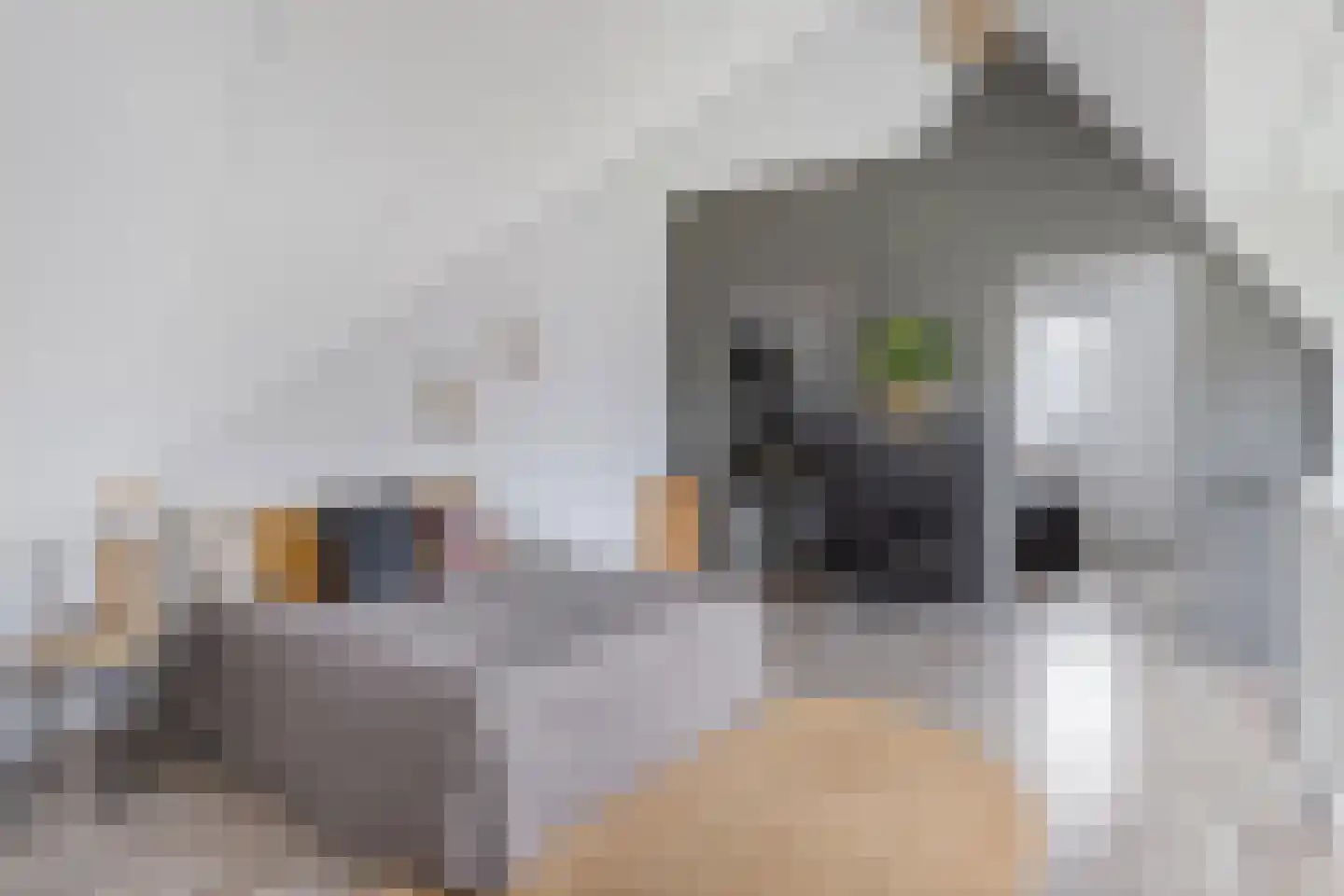 Spiegelkever 16 Son en Breugel thumbnail 36