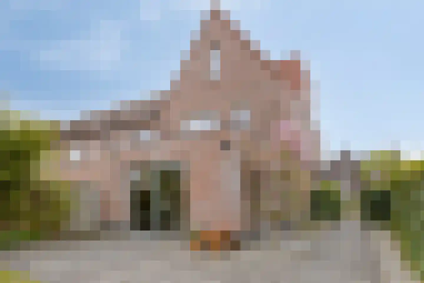 Spiegelkever 16 Son en Breugel thumbnail 45