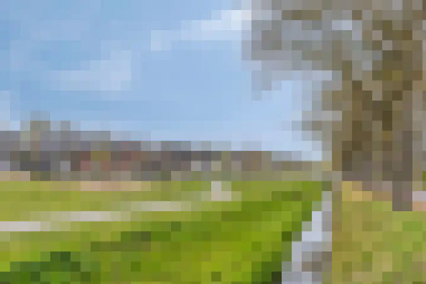 Spiegelkever 16 Son en Breugel thumbnail 49