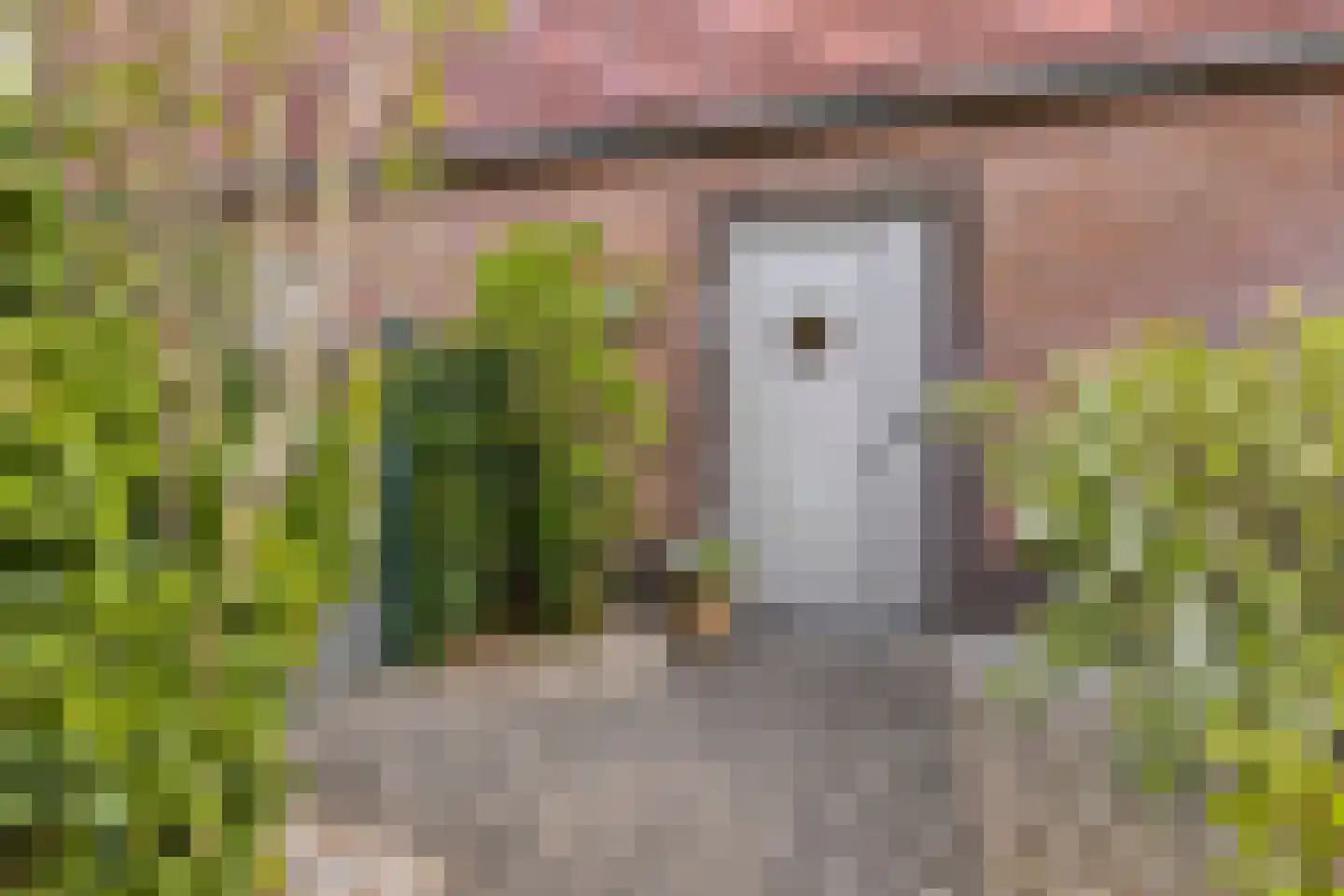 Spiegelkever 16 Son en Breugel thumbnail 9