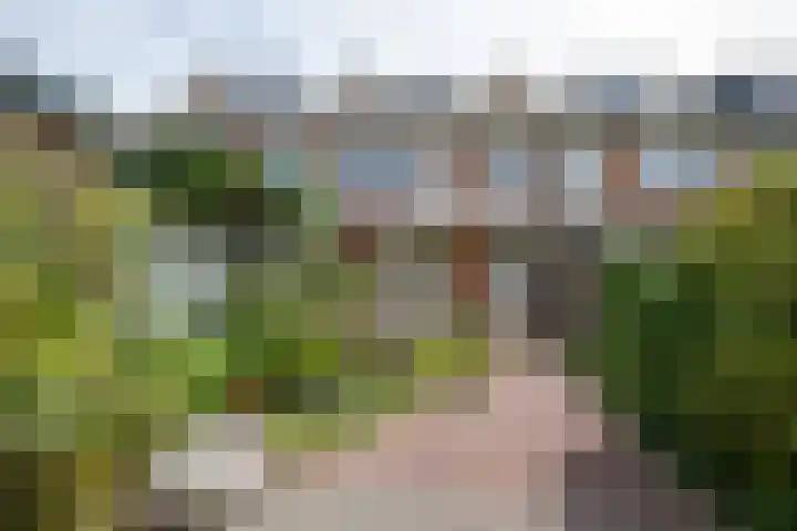 Spiegellaan 12 Heiloo thumbnail 21