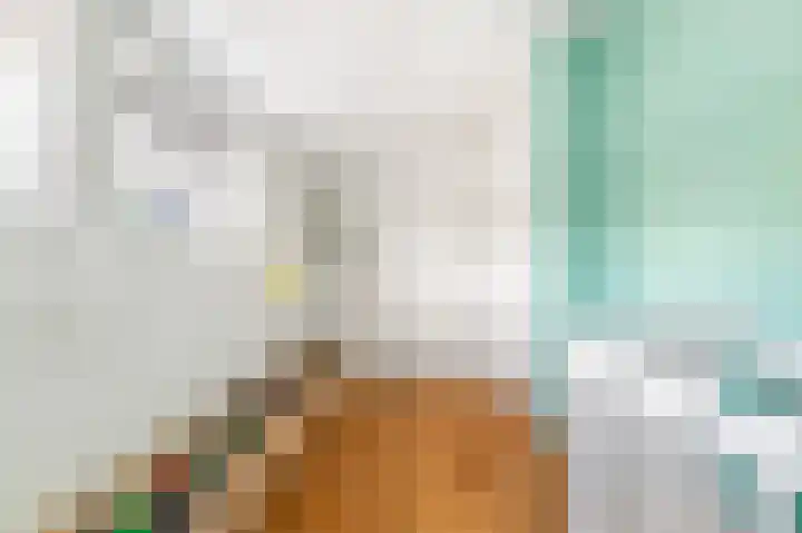 Spiegellaan 12 Heiloo thumbnail 39