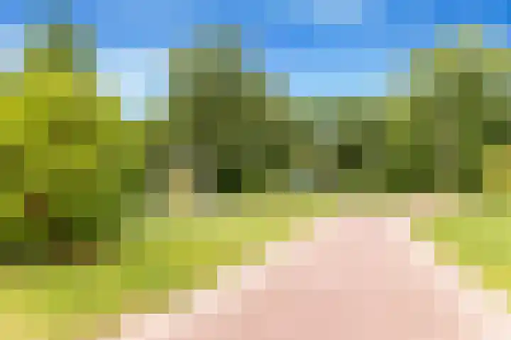 Spiegellaan 12 Heiloo thumbnail 59