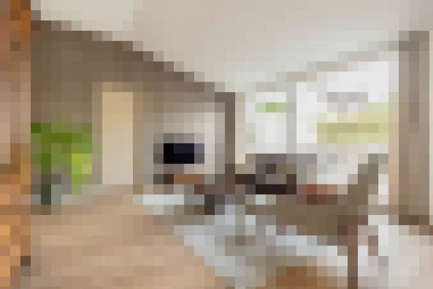 Spiegellaan 12 Heiloo thumbnail 7