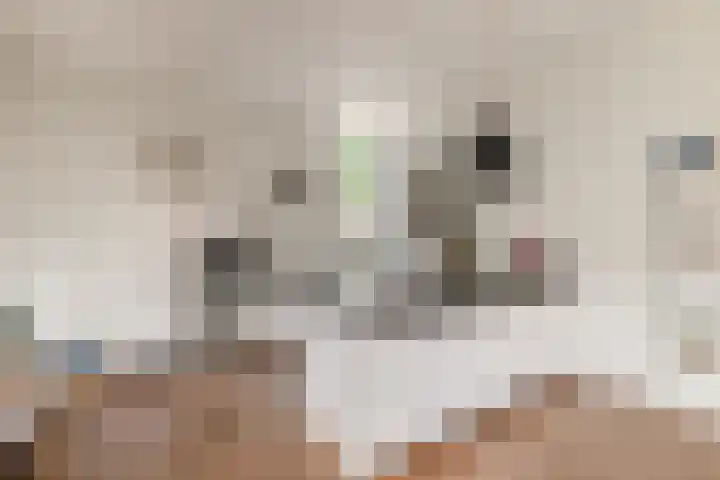 Spiegellaan 12 Heiloo thumbnail 9