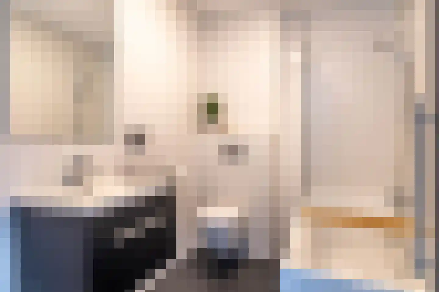 Spiegellaan 83 Heiloo thumbnail 24