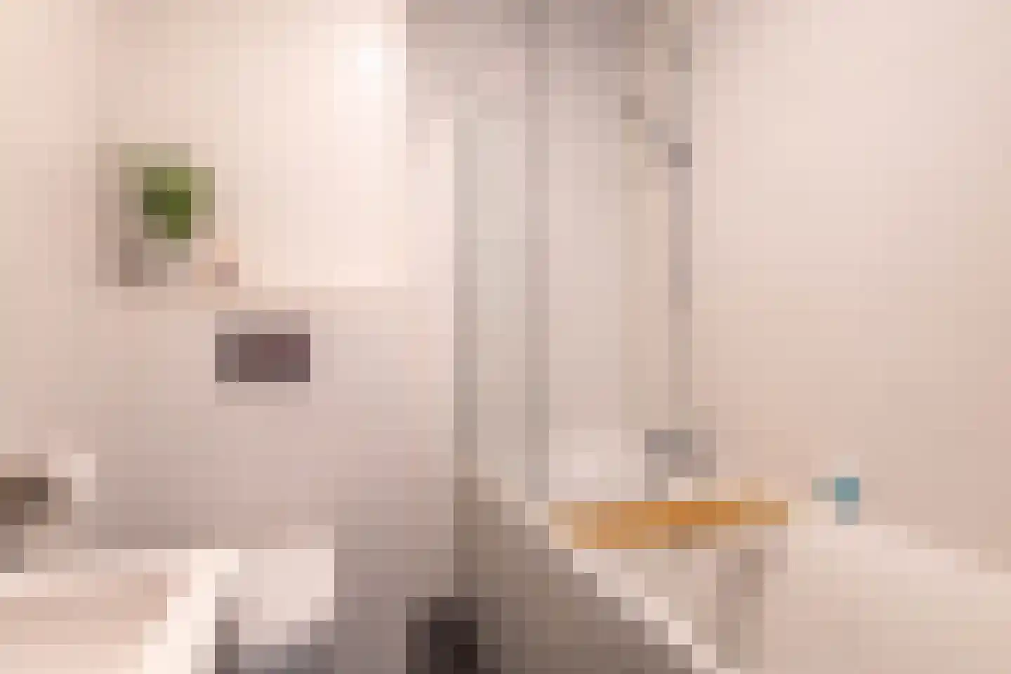 Spiegellaan 83 Heiloo thumbnail 25