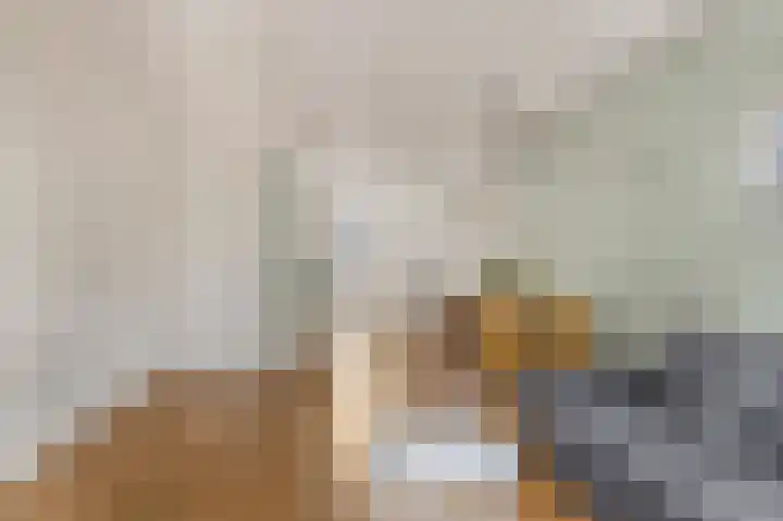 Spiegellaan 95 Heiloo thumbnail 13
