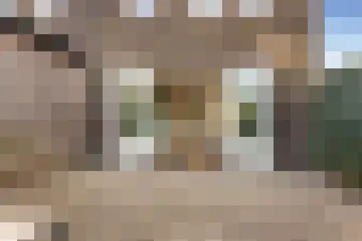 Spiegellaan 95 Heiloo thumbnail 40