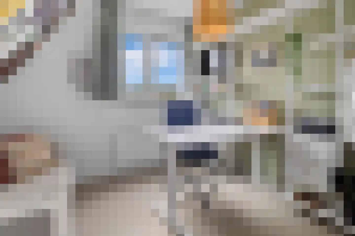 Spiegellaan 99 Heiloo thumbnail 47