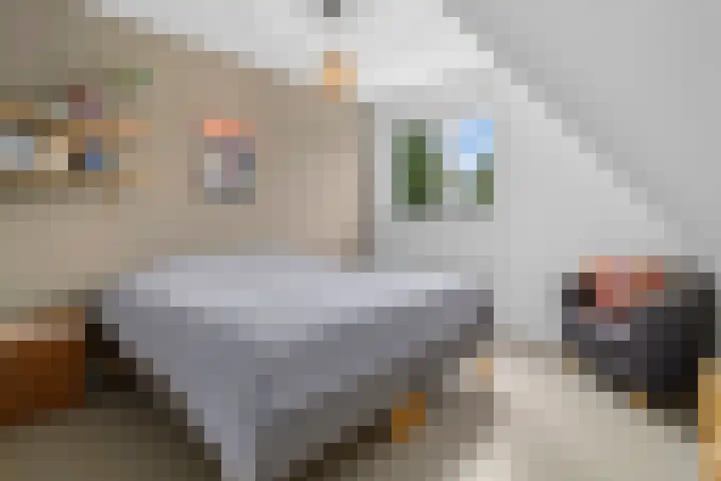 Spiegellaan 99 Heiloo thumbnail 48
