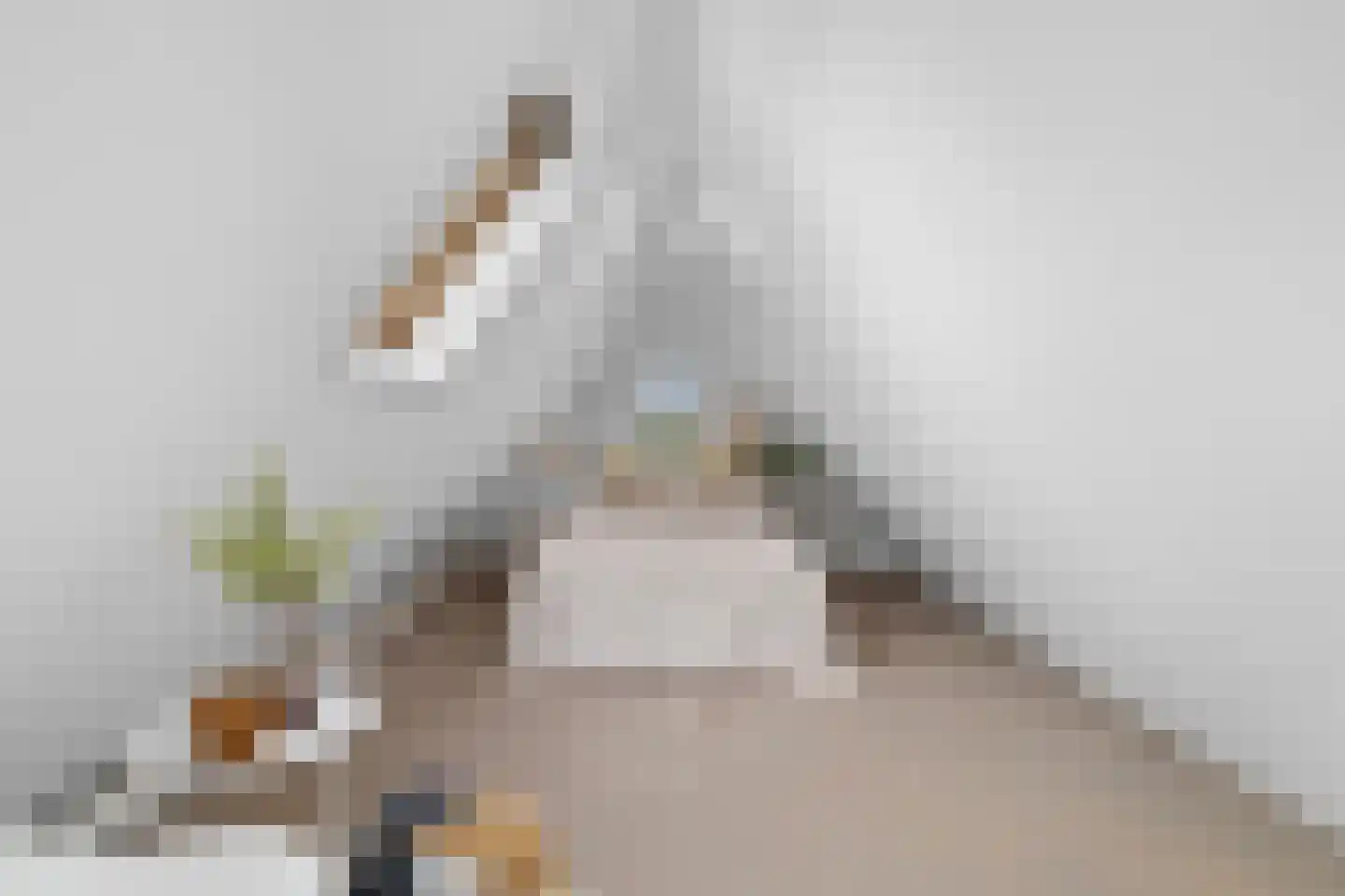 Spiegellaan 99 Heiloo thumbnail 51