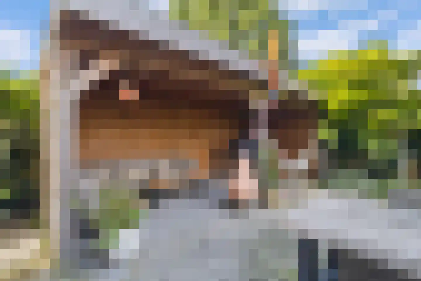 Spiegellaan 99 Heiloo thumbnail 60
