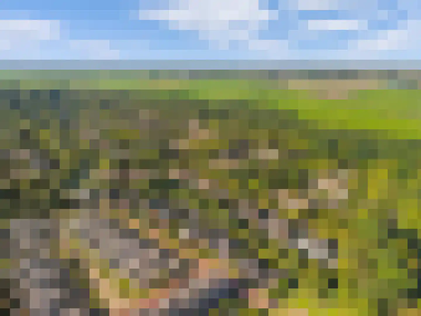 Spiegellaan 99 Heiloo thumbnail 66