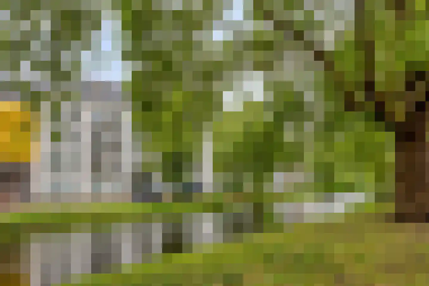 Spiegelnisserkade 179 Rotterdam thumbnail 37