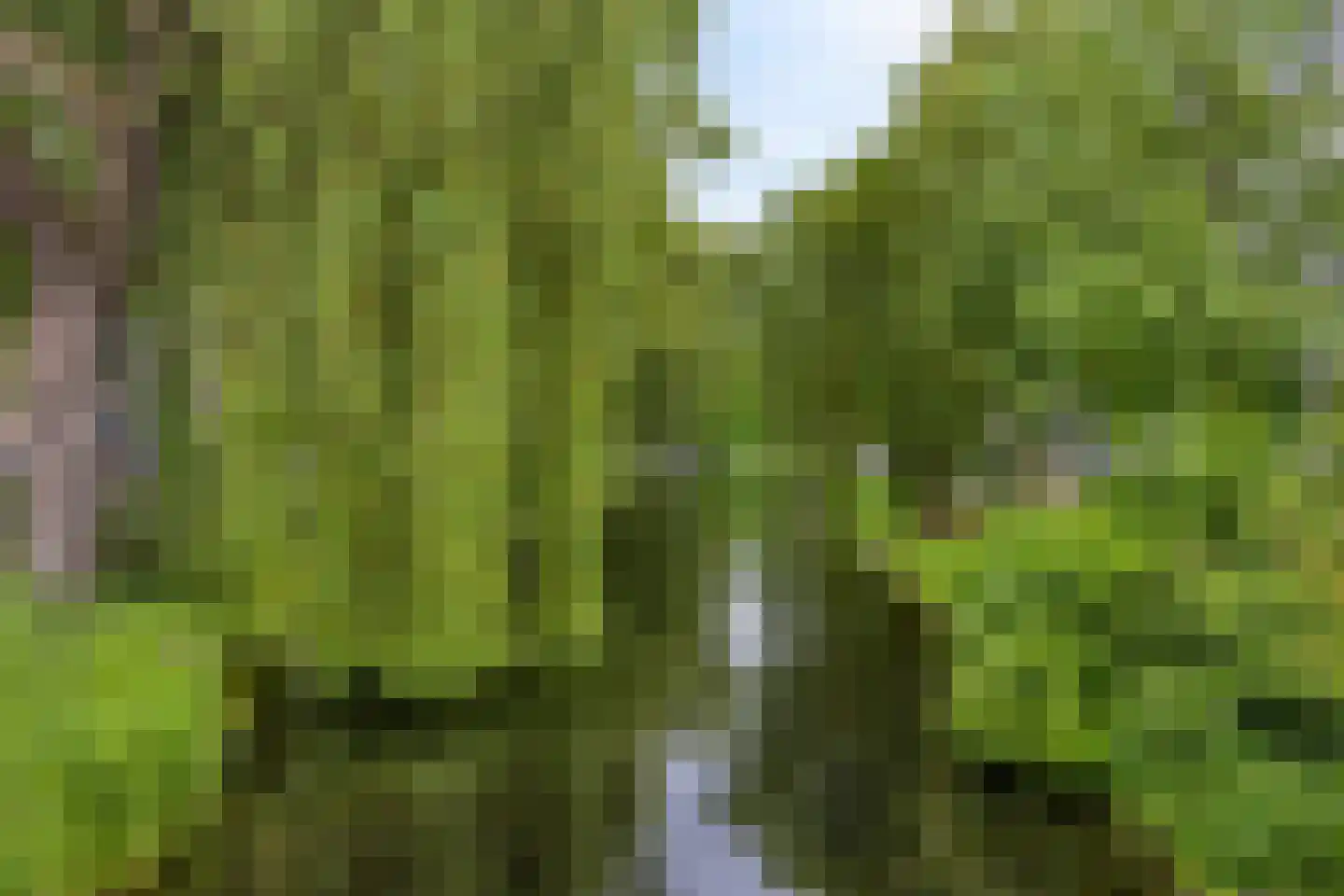 Spiegelnisserkade 179 Rotterdam thumbnail 38
