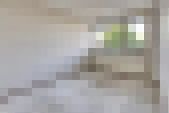 Spiegelnisserkade 3 Rotterdam thumbnail 10