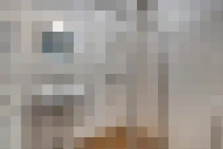 Spiegelnisserkade 3 Rotterdam thumbnail 13