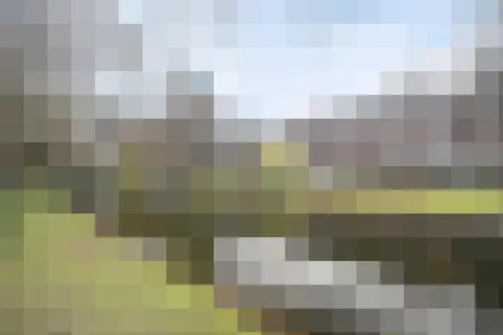 Spiegelnisserkade 3 Rotterdam thumbnail 20