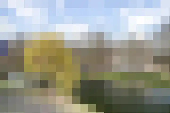 Spiegelnisserkade 3 Rotterdam thumbnail 21