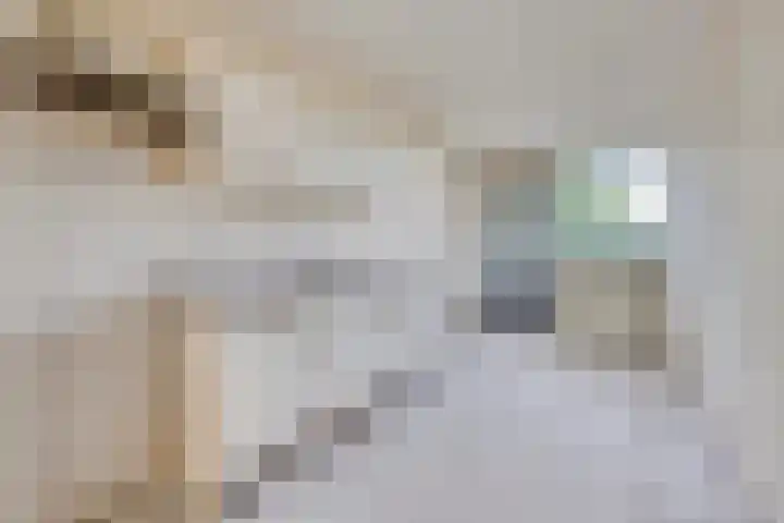 Spiegelnisserkade 3 Rotterdam thumbnail 4