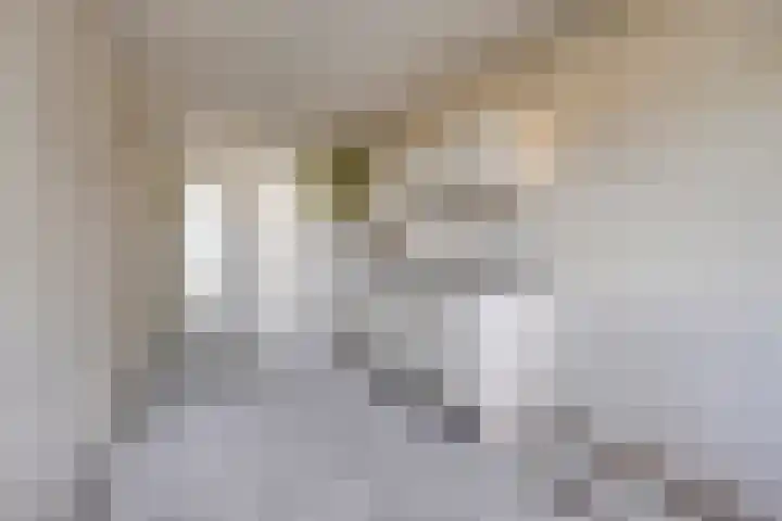 Spiegelnisserkade 3 Rotterdam thumbnail 8
