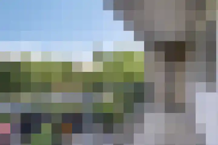 Spiegelnisserkade 3 Rotterdam thumbnail 9
