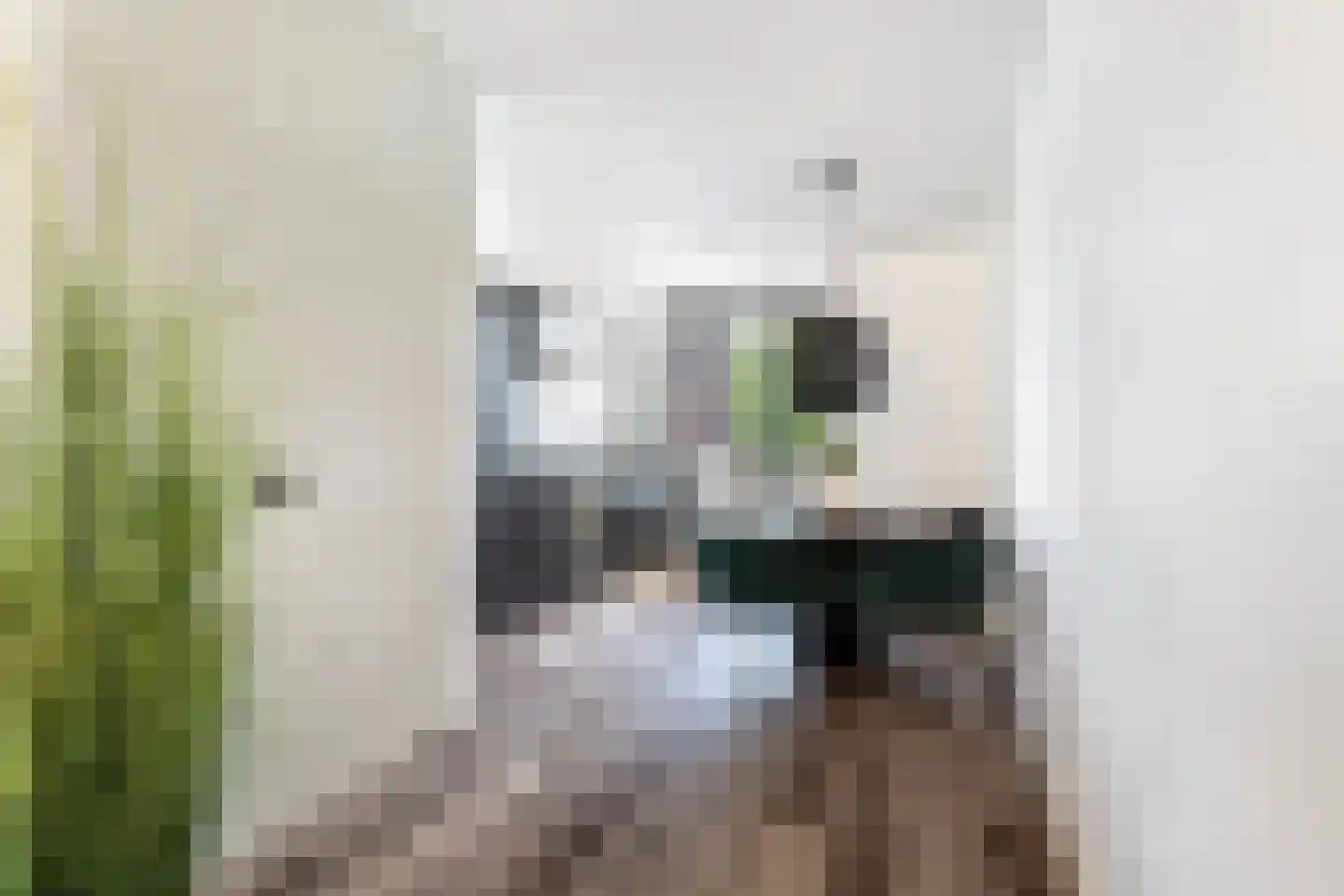Spiegelnisserstraat 1 Rotterdam thumbnail 15