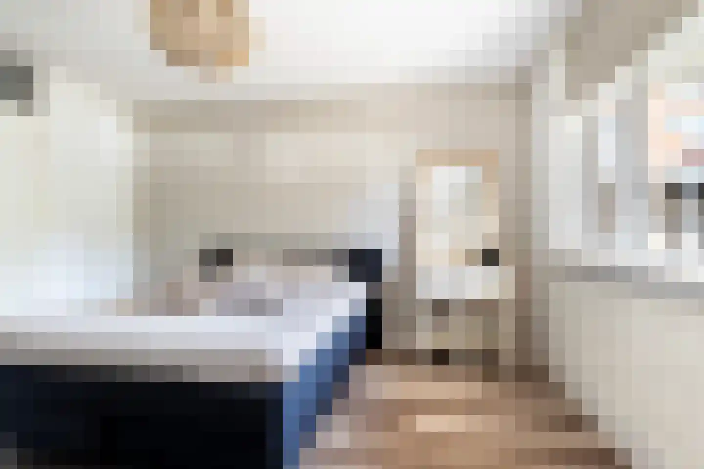 Spiegelnisserstraat 1 Rotterdam thumbnail 21