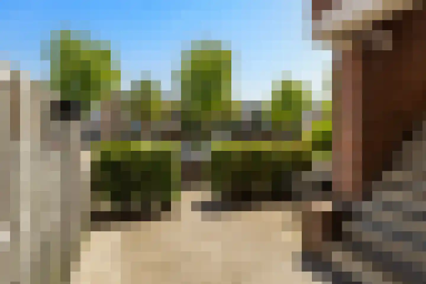 Spiegelnisserstraat 1 Rotterdam thumbnail 7
