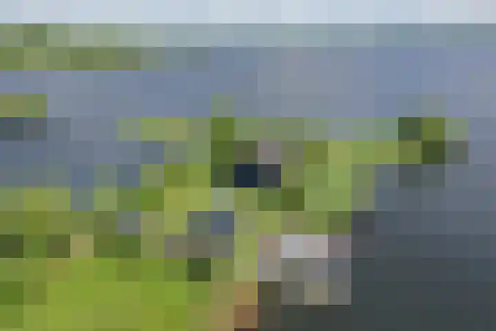 Spiegelpolder 1 i Nederhorst den Berg