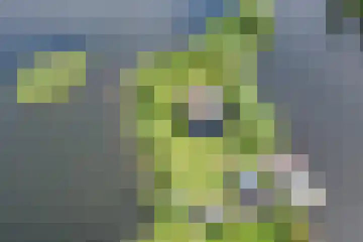 Spiegelpolder 1 i Nederhorst den Berg thumbnail 14