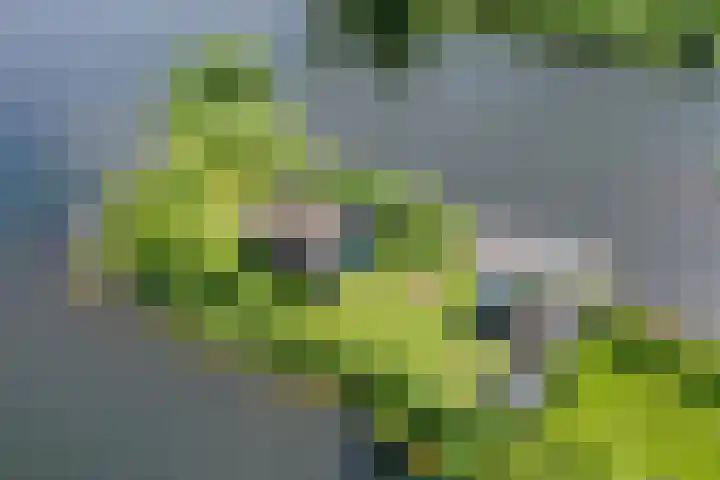 Spiegelpolder 1 i Nederhorst den Berg thumbnail 15