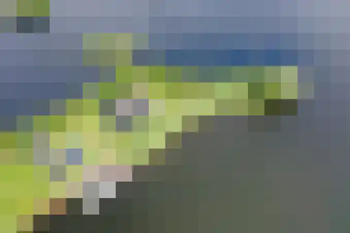 Spiegelpolder 1 i Nederhorst den Berg thumbnail 28