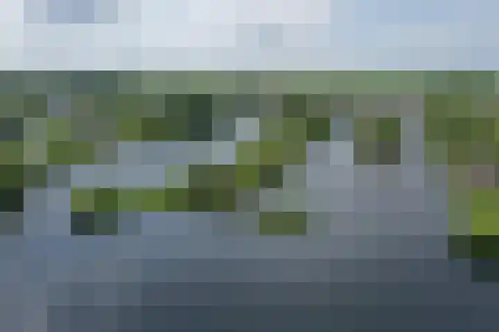 Spiegelpolder 1 i Nederhorst den Berg foto 3