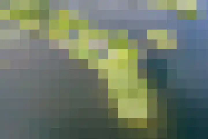 Spiegelpolder 1 i Nederhorst den Berg thumbnail 30