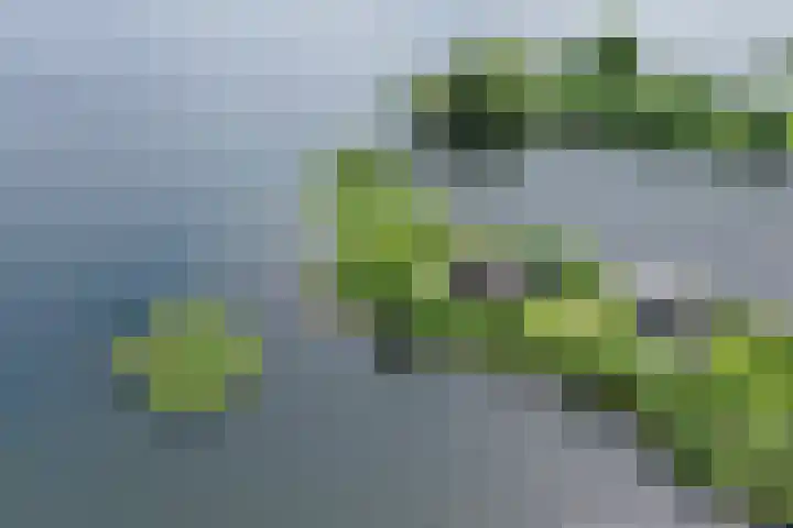 Spiegelpolder 1 i Nederhorst den Berg thumbnail 31