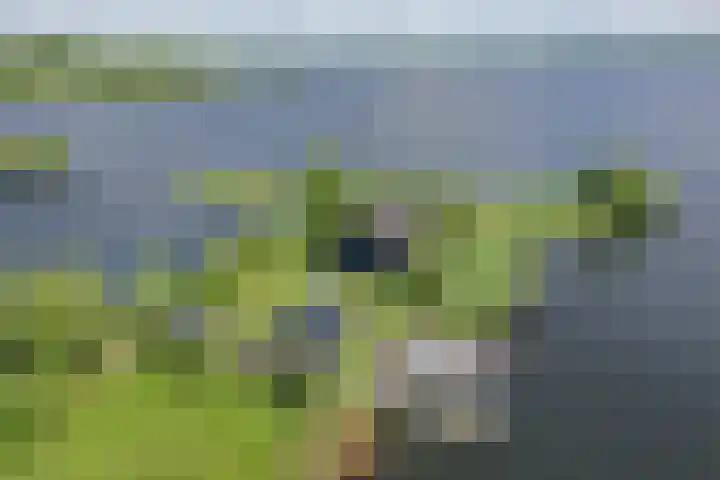 Spiegelpolder 1 i Nederhorst den Berg thumbnail 33