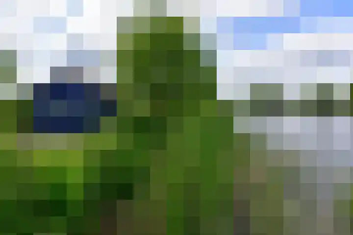 Spiegelpolder 1 i Nederhorst den Berg thumbnail 4