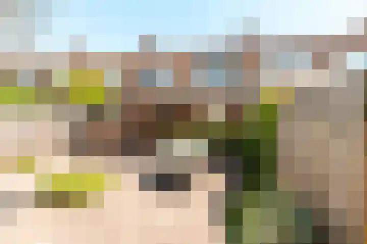 Spiegelstraat 16 Dronten thumbnail 33