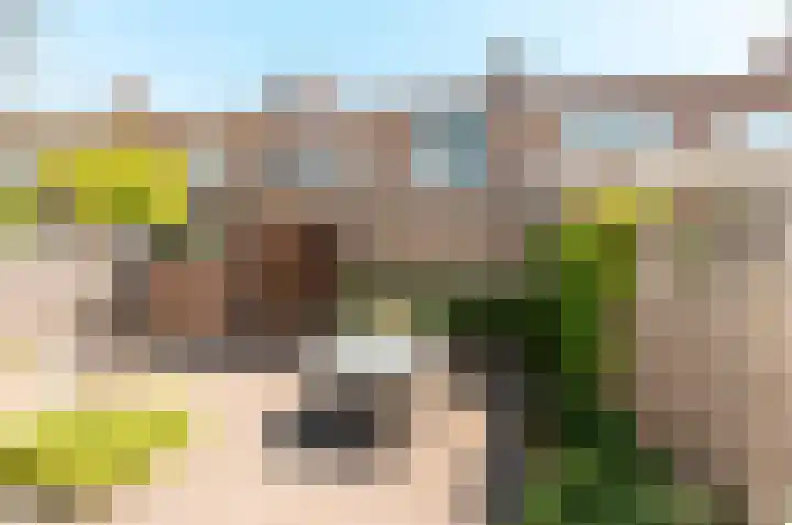 Spiegelstraat 16 Dronten thumbnail 35