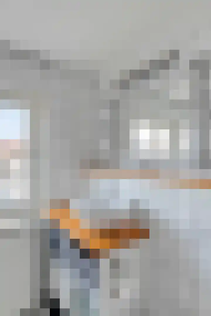 Spiegelstraat 18 Dronten thumbnail 27