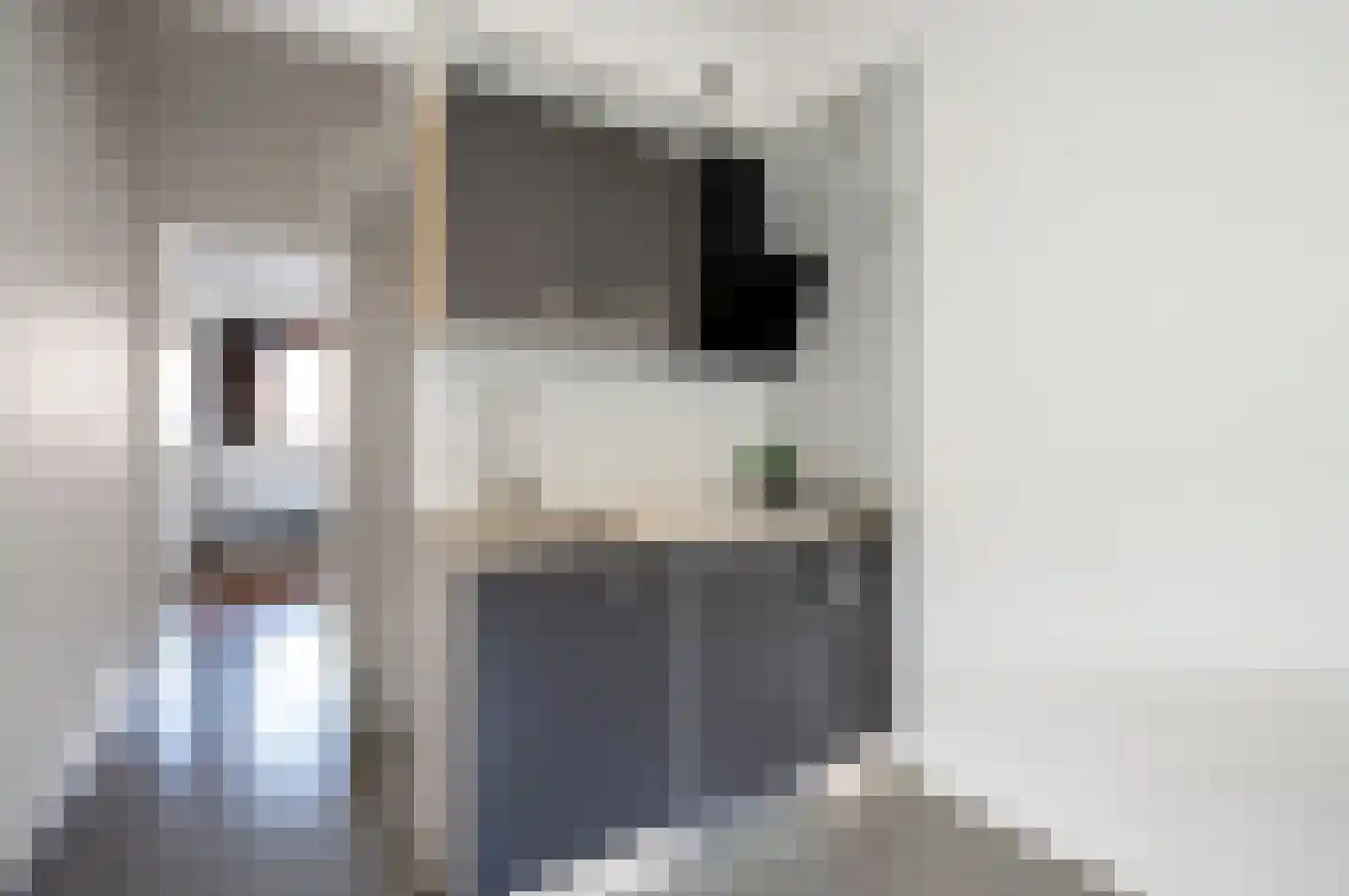 Spiegelstraat 3 Bussum thumbnail 19