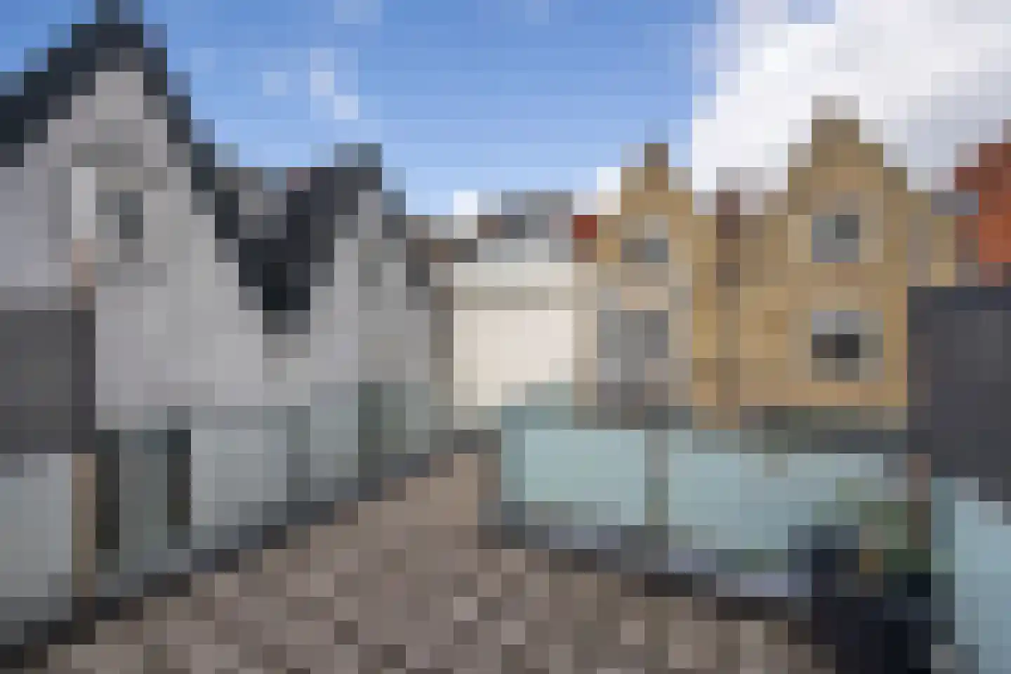 Spiegelstraat 3 Haarlem thumbnail 12