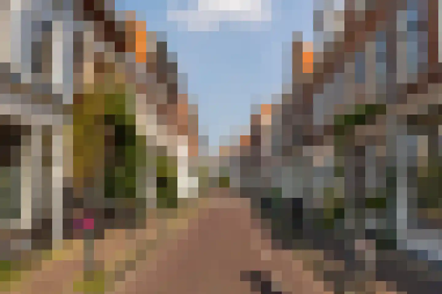 Spiegelstraat 3 Haarlem thumbnail 25