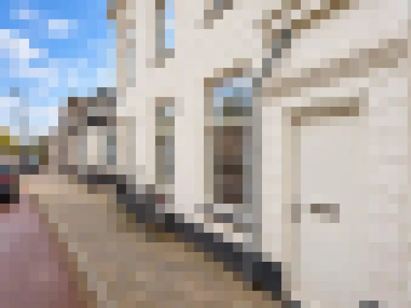Spiegelstraat 37 Haarlem thumbnail 26