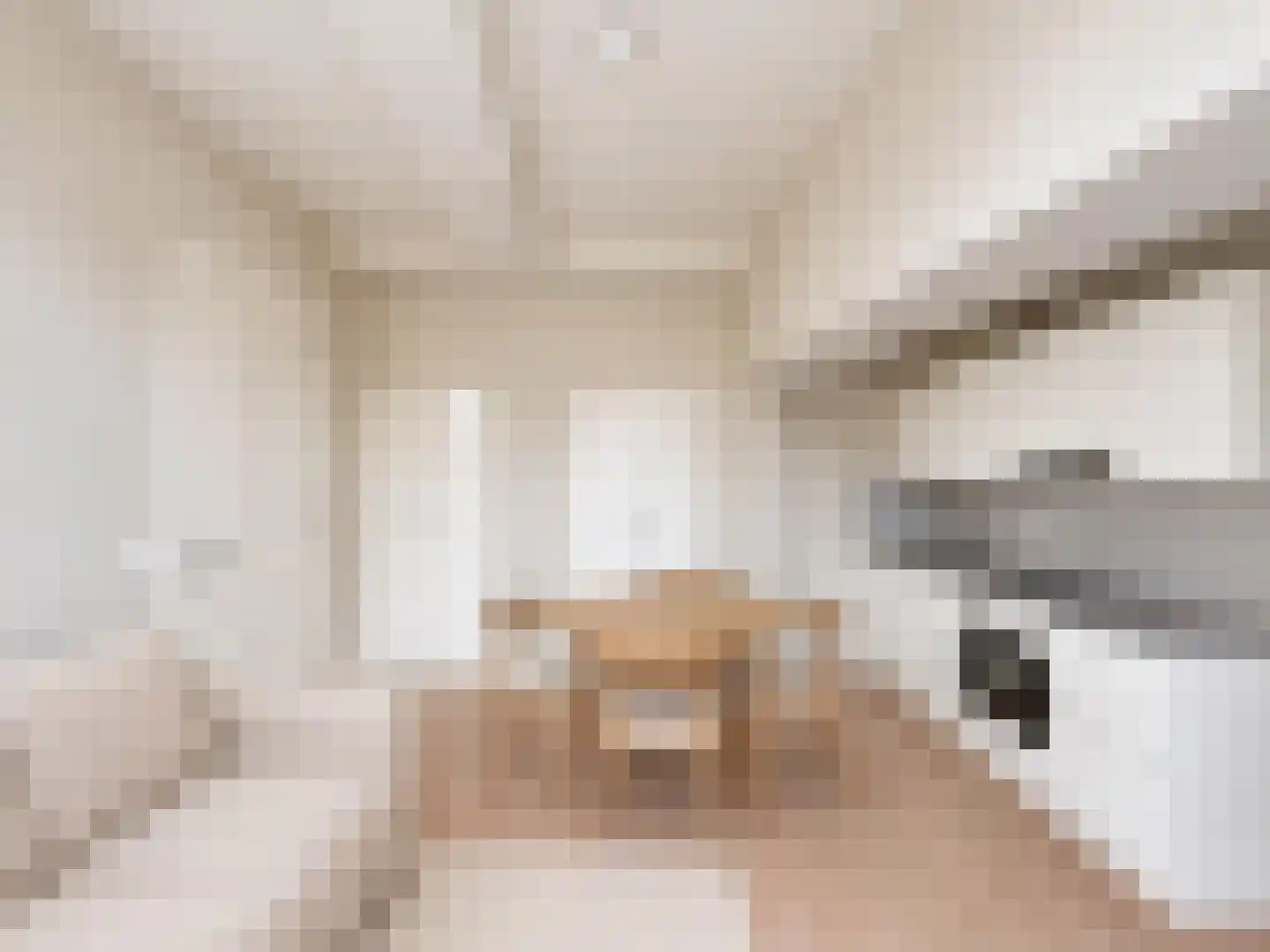 Spiegelstraat 37 Haarlem thumbnail 6