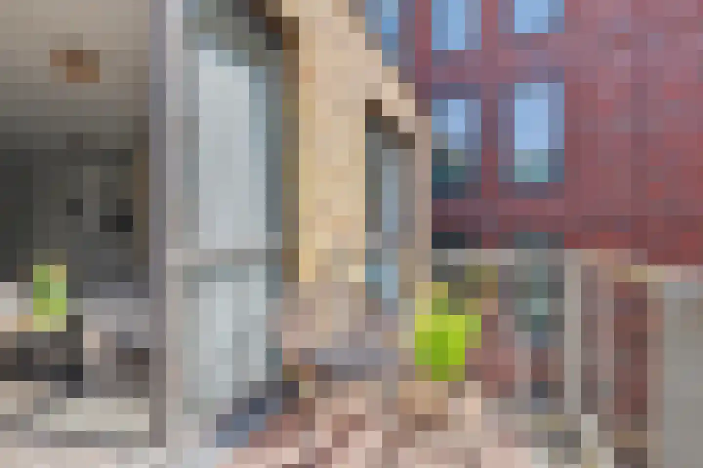 Spiegeltuin 112 's-Hertogenbosch thumbnail 20
