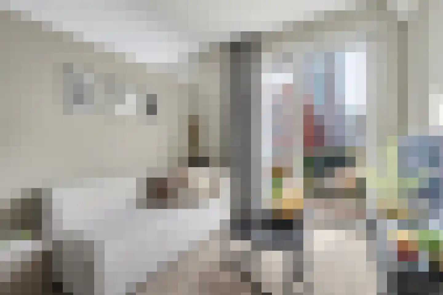 Spiegeltuin 112 's-Hertogenbosch thumbnail 4
