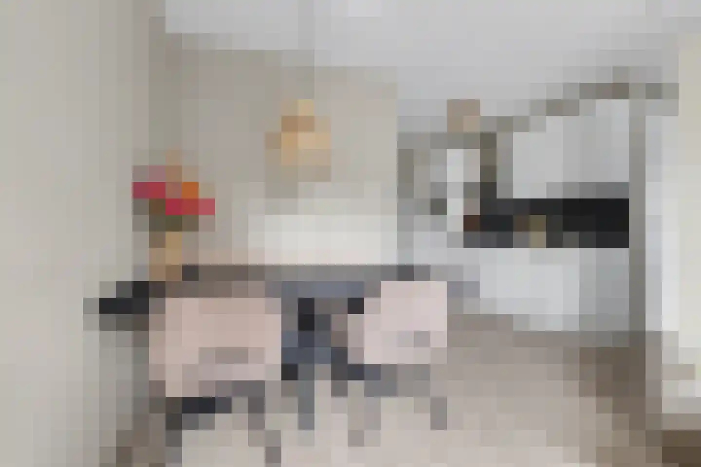 Spiegeltuin 112 's-Hertogenbosch thumbnail 8